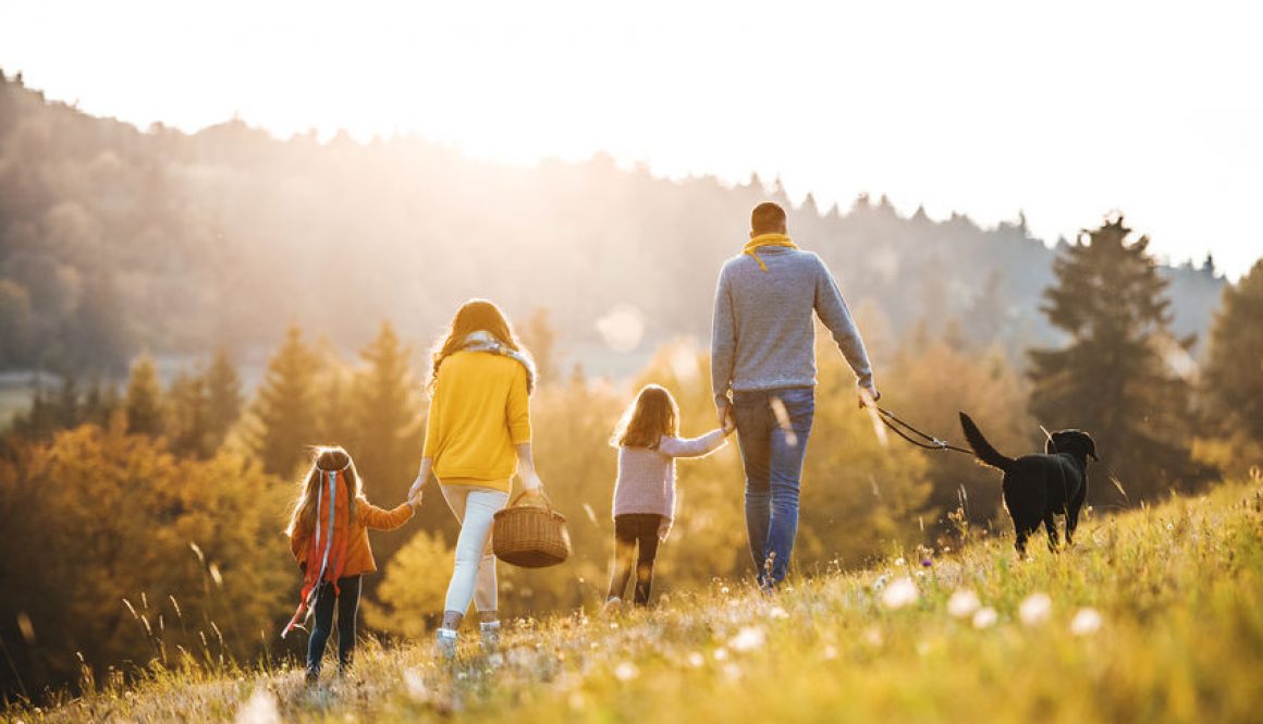 A rear view of young family with two small children and a dog on a walk in autumn nature.