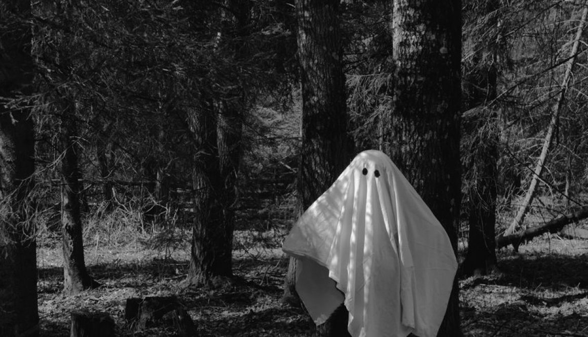 A floating white ghost in a foest.