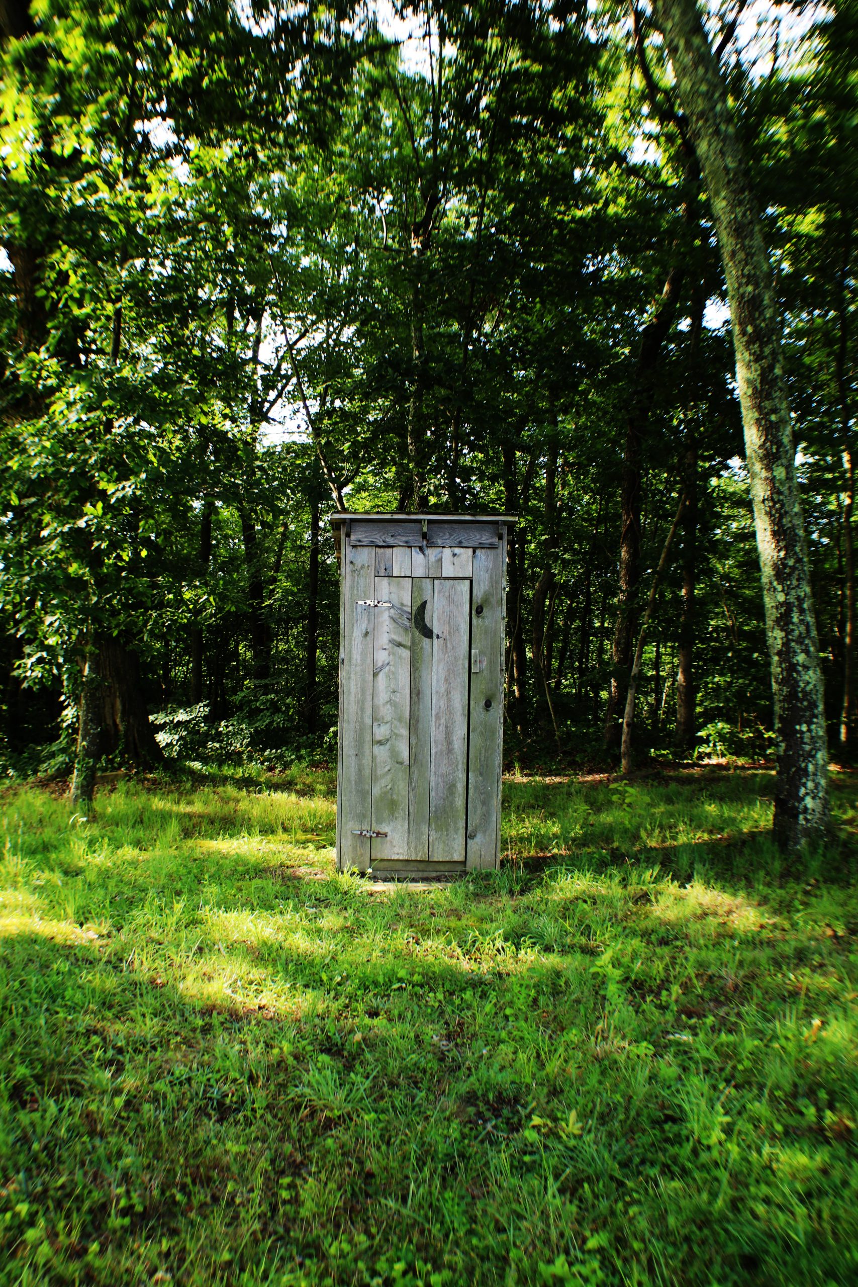An outhouse in the middle of a wooded area.